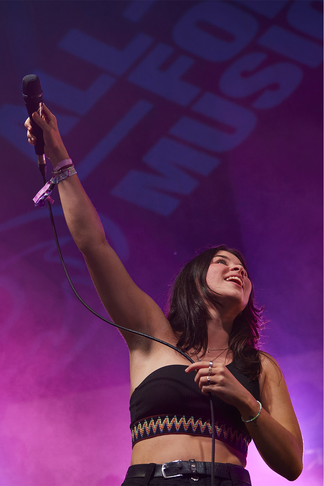 Electric Picnic